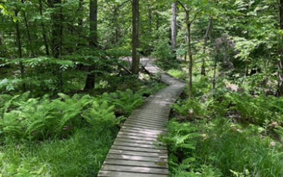 Formation - Conduite du changement