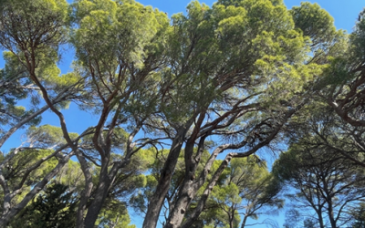 Formation - Management équipe