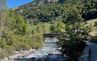 Formation - Relation client - Copie